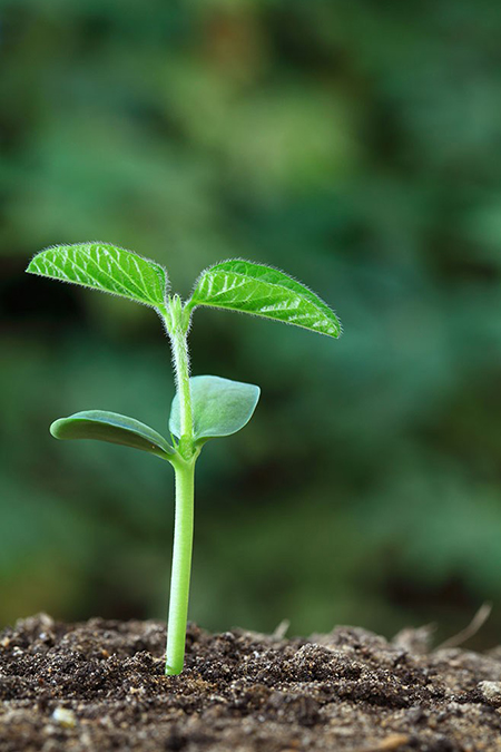 AG视讯试玩味业食品股份有限公司是一家专注于酿造健康调味品的股份制企业，AG视讯试玩味业传承并创新古法酿造技艺，具备独立研发、应用先进酿造工艺的能力，公司有21项核心技术获国家专利或省级科技成果鉴定。
