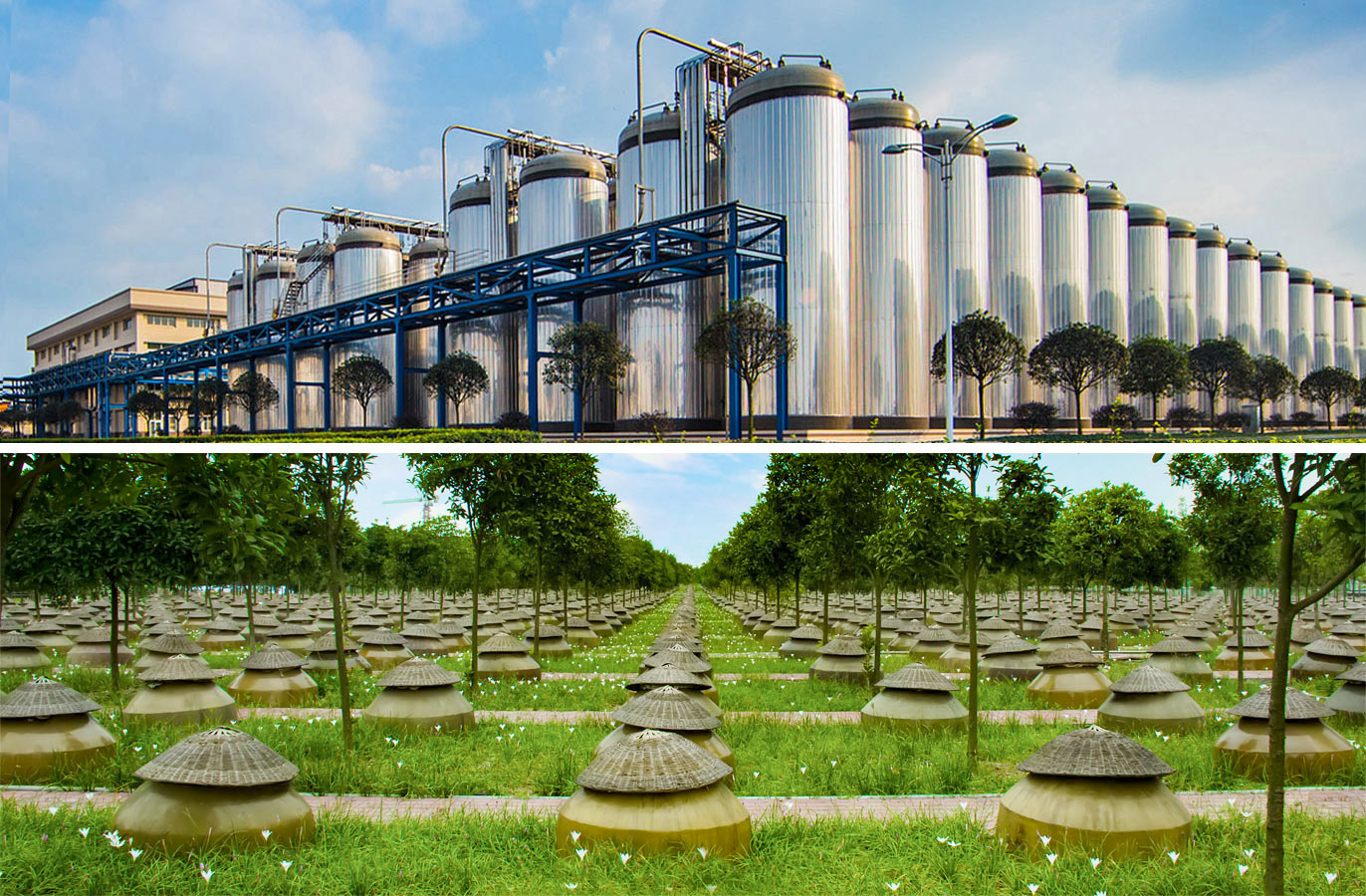 AG视讯试玩味业食品股份有限公司是一家专注于酿造健康调味品的股份制企业，AG视讯试玩味业传承并创新古法酿造技艺，具备独立研发、应用先进酿造工艺的能力，公司有21项核心技术获国家专利或省级科技成果鉴定。