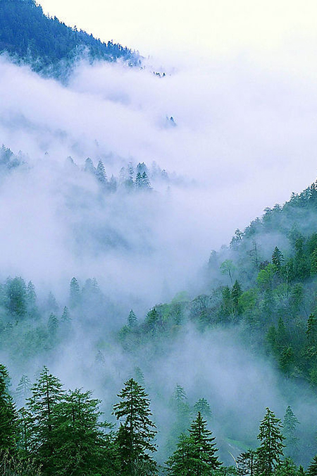 AG视讯试玩味业食品股份有限公司是一家专注于酿造健康调味品的股份制企业，AG视讯试玩味业传承并创新古法酿造技艺，具备独立研发、应用先进酿造工艺的能力，公司有21项核心技术获国家专利或省级科技成果鉴定。