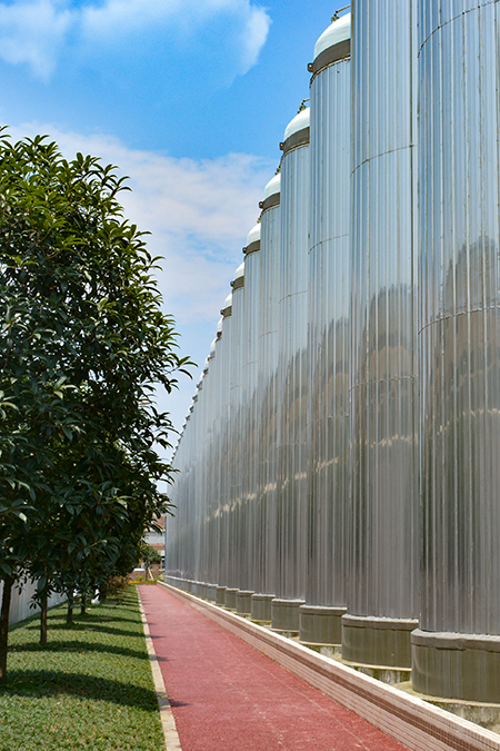AG视讯试玩味业食品股份有限公司是一家专注于酿造健康调味品的股份制企业，AG视讯试玩味业传承并创新古法酿造技艺，具备独立研发、应用先进酿造工艺的能力，公司有21项核心技术获国家专利或省级科技成果鉴定。